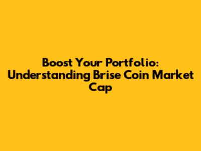 Boost Your Portfolio: Understanding Brise Coin Market Cap