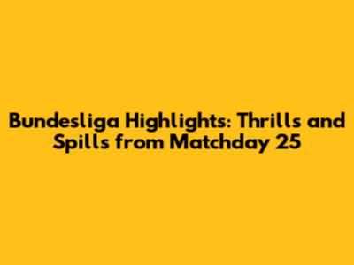 Bundesliga Highlights: Thrills and Spills from Matchday 25