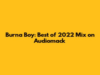 Burna Boy: Best of 2022 Mix on Audiomack