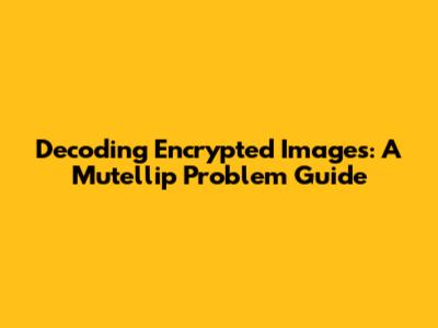 Decoding Encrypted Images: A Mutellip Problem Guide