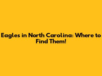 Eagles in North Carolina: Where to Find Them!