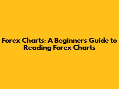 Forex Charts: A Beginner's Guide to Reading Forex Charts