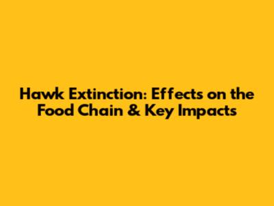 Hawk Extinction: Effects on the Food Chain & Key Impacts