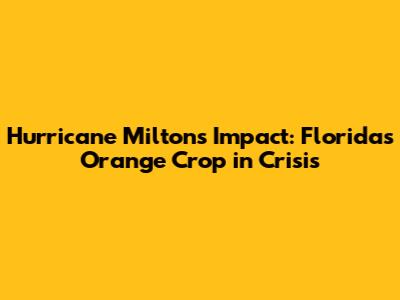 Hurricane Milton's Impact: Florida's Orange Crop in Crisis