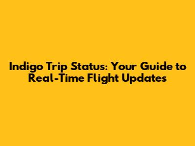 Indigo Trip Status: Your Guide to Real-Time Flight Updates