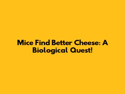 Mice Find Better Cheese: A Biological Quest!