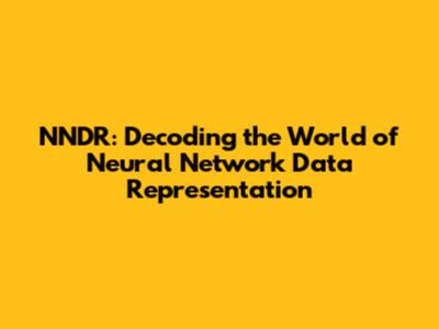 NNDR: Decoding the World of Neural Network Data Representation