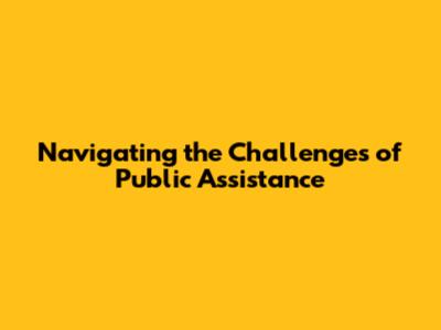 Navigating the Challenges of Public Assistance