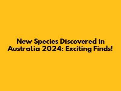 New Species Discovered in Australia 2024: Exciting Finds!