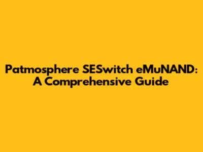 Patmosphere SESwitch eMuNAND: A Comprehensive Guide