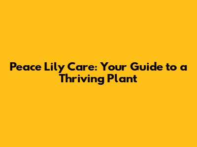 Peace Lily Care: Your Guide to a Thriving Plant