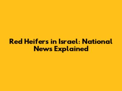 Red Heifers in Israel: National News Explained