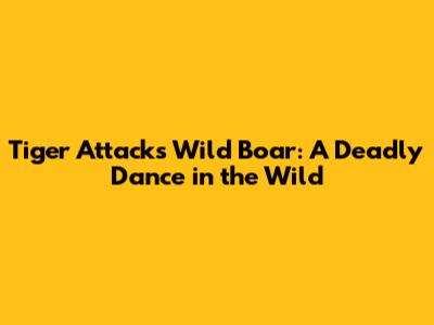 Tiger Attacks Wild Boar: A Deadly Dance in the Wild