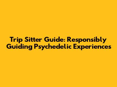Trip Sitter Guide: Responsibly Guiding Psychedelic Experiences