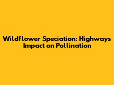 Wildflower Speciation: Highway's Impact on Pollination